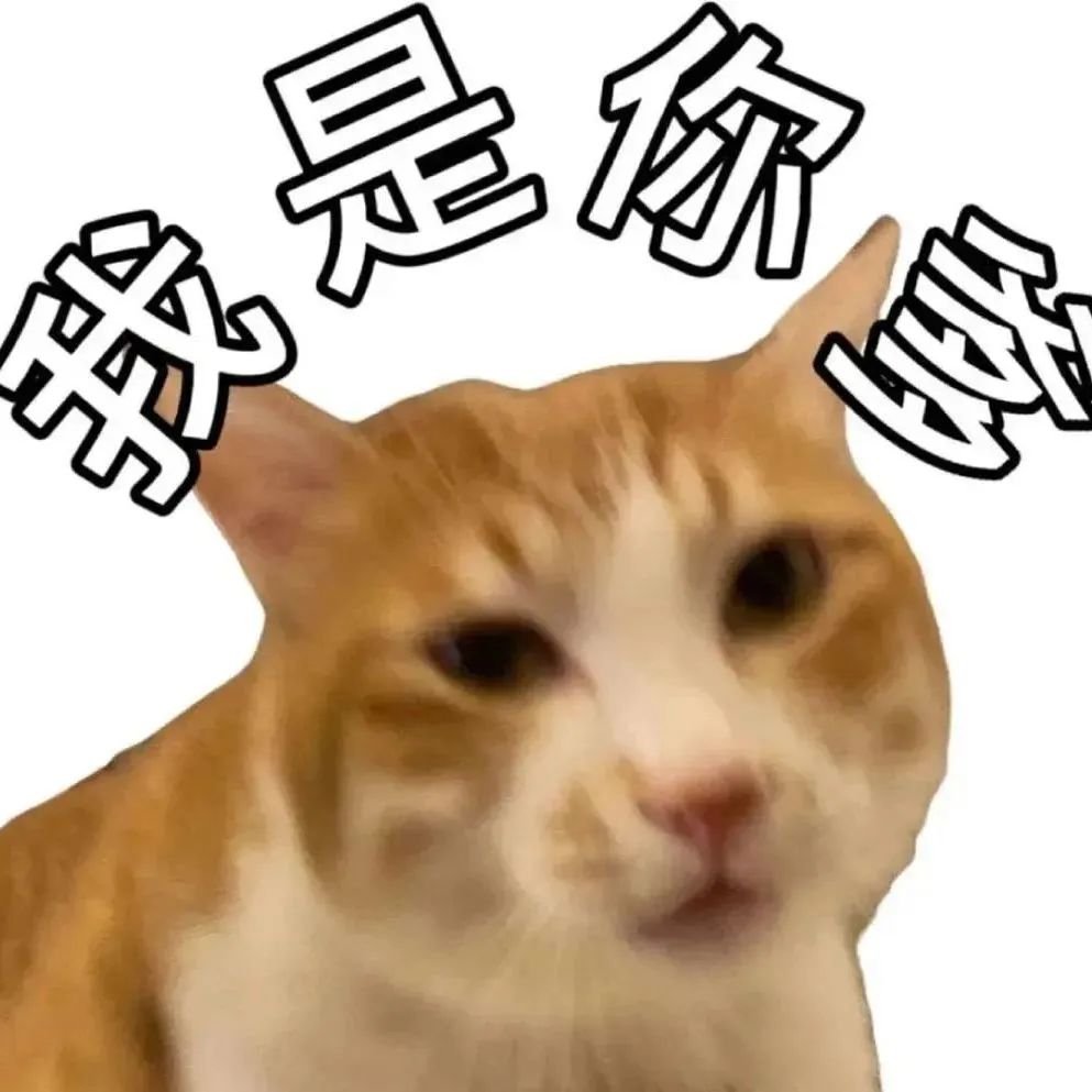 可爱橘猫配字“我是你爹”，搞怪又霸气的表情包来袭 犯贱有病表情包表情包图片gif动图 - 求表情网,斗图从此不求人!