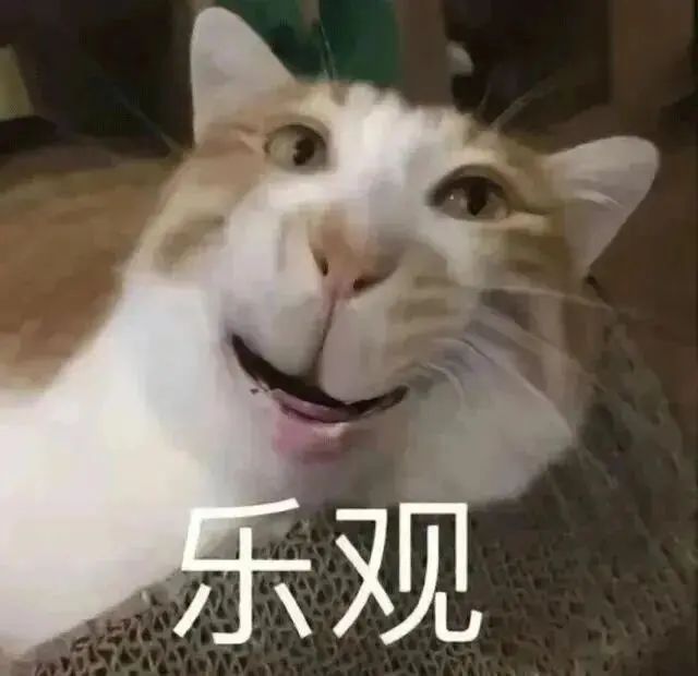 橘猫表情滑稽咧嘴笑，配文“乐观”传递满满正能量 聊天装傻专用表情包 | 龙图表情包表情包图片gif动图 - 求表情网,斗图从此不求人!