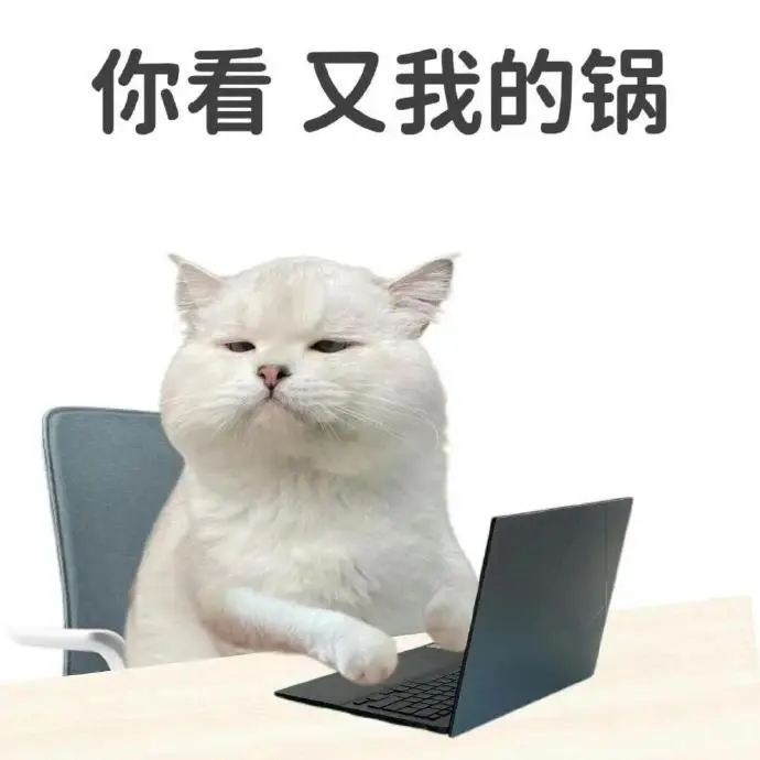 猫咪坐在电脑前一脸无奈,配文“你看 又我的锅”超搞笑 打工人表情包 | 你看 又急表情包图片gif动图 - 求表情网,斗图从此不求人!