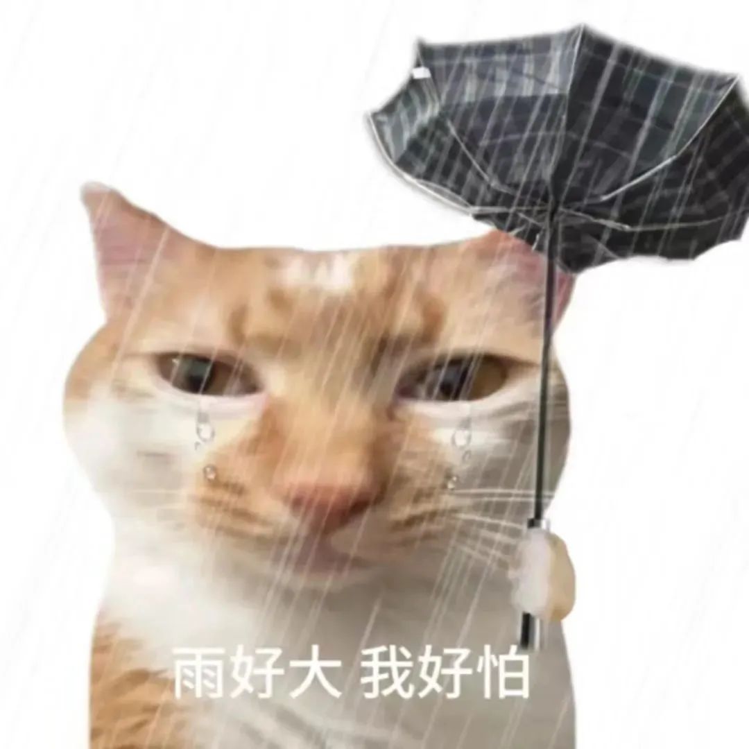 可爱猫咪撑伞流泪,配文“雨好大 我好怕”,尽显委屈害怕 玩抽象の搞笑女表情包 丨 不处表情包图片gif动图 - 求表情网,斗图从此不求人!