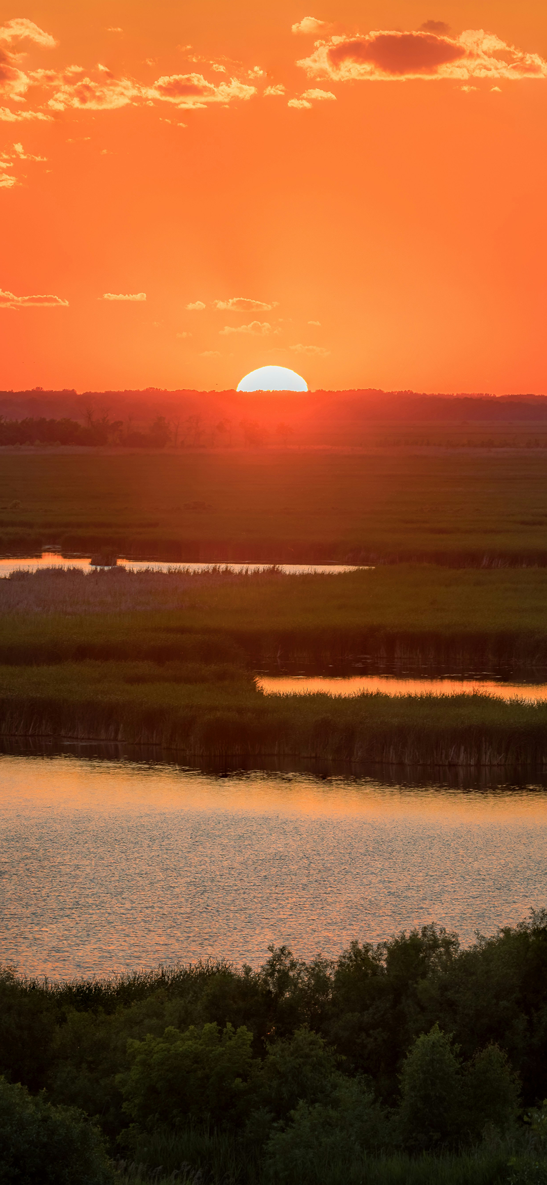 绝美夕阳映照湿地,橙红天空下的自然宁静之景 手机壁纸|一组落日壁纸表情包图片gif动图 - 求表情网,斗图从此不求人!