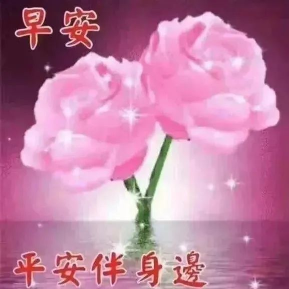 《早安》双朵粉玫瑰图，配文“平安伴身边”温馨美好 土味沙雕表情包 美女真漂亮表情包图片gif动图 - 求表情网,斗图从此不求人!