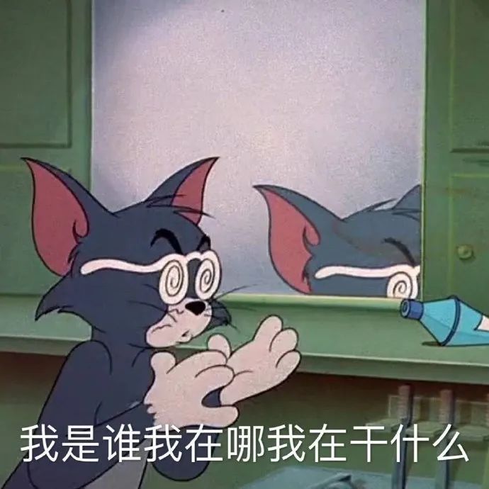 汤姆猫一脸懵圈照镜子，配文“我是谁我在哪我在干什么” 表情包送到，速来签收！表情包图片gif动图 - 求表情网,斗图从此不求人!