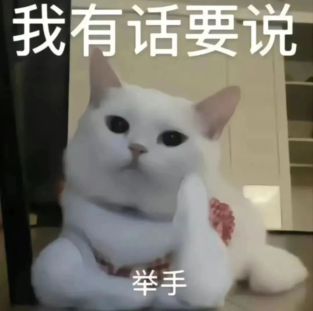 可爱猫咪表情包:“我有话要说”并举手,萌趣十足 168个抽象实用表情包表情包图片gif动图 - 求表情网,斗图从此不求人!