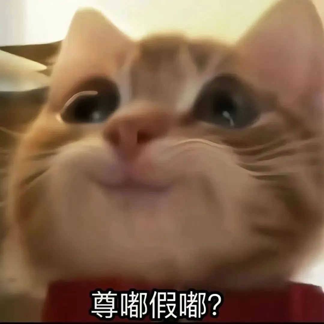 可爱橘猫表情呆萌,配文“尊嘟假嘟?”尽显疑惑可爱 表情包:爱上我了吧表情包图片gif动图 - 求表情网,斗图从此不求人!