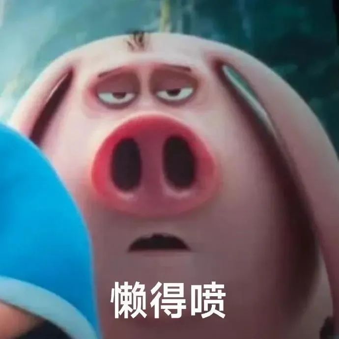 《猪猪一脸慵懒表情，配文“懒得喷”，尽显无奈与嫌弃》 哪吒飞天猪表情包 | 超火的太乙飞天猪表情包来咯表情包图片gif动图 - 求表情网,斗图 ...
