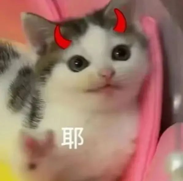 戴着恶魔角的可爱小猫比耶,萌趣十足超可爱 猫meme表情包 热门猫meme 邪恶小鼻嘎表情包表情包图片gif动图 - 求表情网,斗图从此不求人!