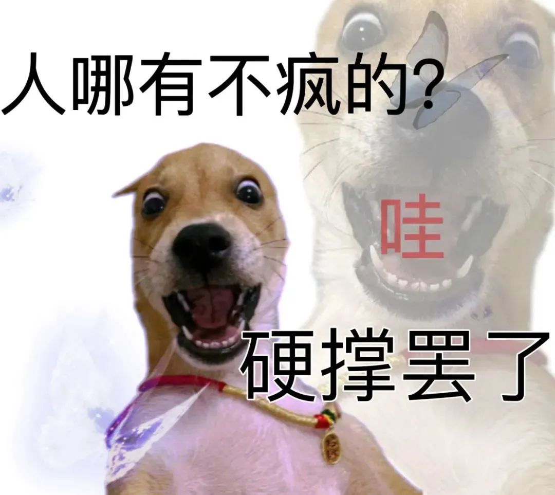《人哪有不疯的？哇，硬撑罢了》——狗狗表情诠释内心的崩溃与无奈 沙雕但好用的表情包表情包图片gif动图 - 求表情网,斗图从此不求人!