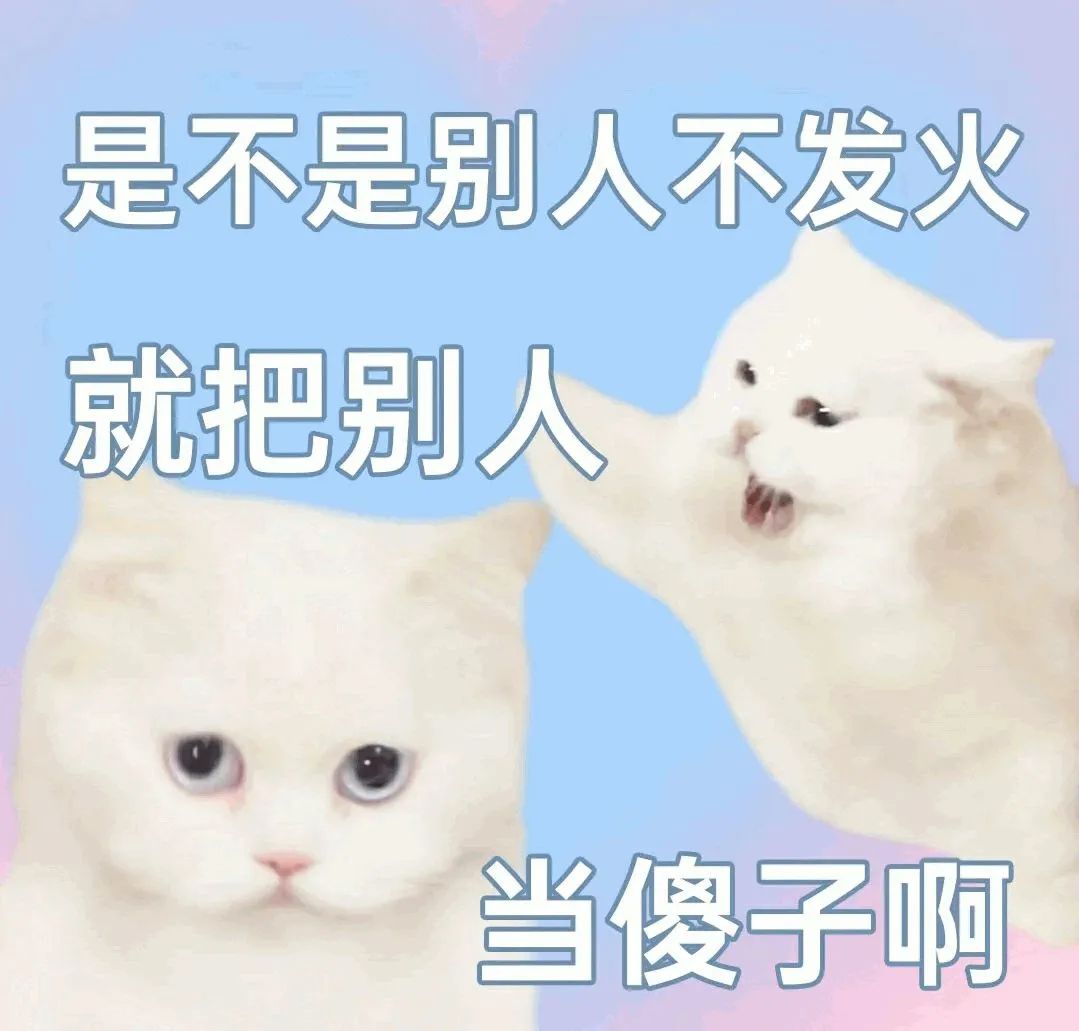可爱猫咪演绎“是不是别人不发火就把别人当傻子啊” 表情包|气到变形表情包图片gif动图 - 求表情网,斗图从此不求人!