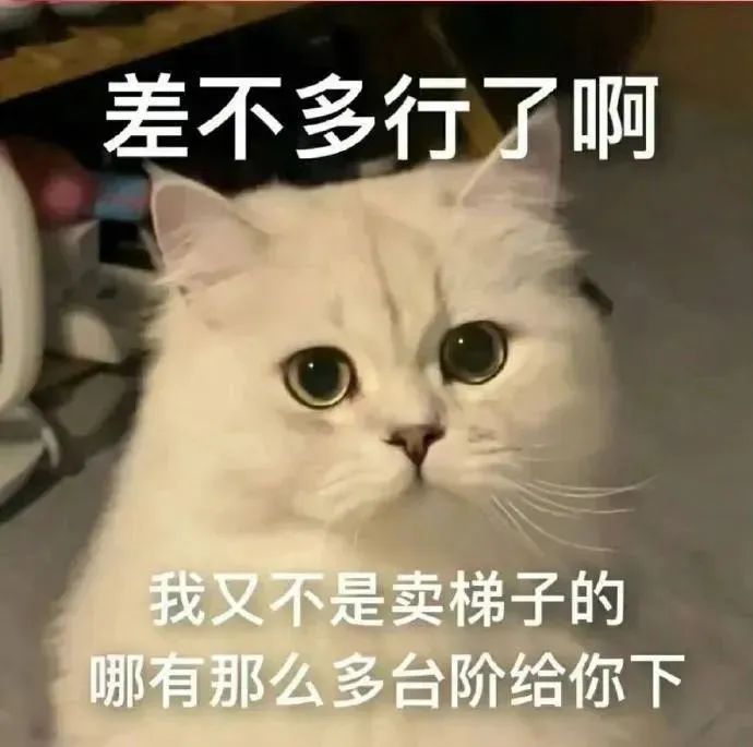 《差不多行了啊,我又不是卖梯子的哪有那么多台阶给你下》 存一组可爱表情包คค表情包图片gif动图 - 求表情网,斗图从此不求人!