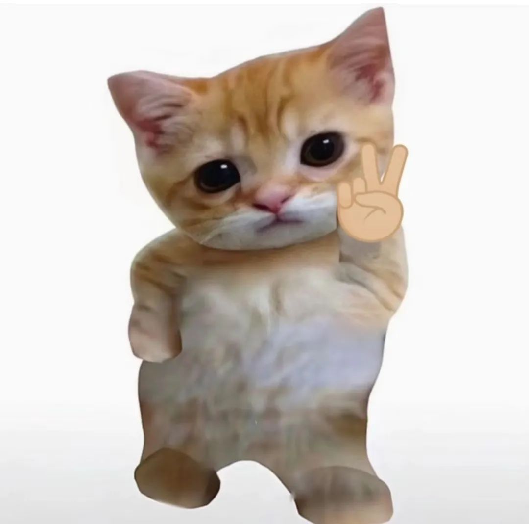 可爱橘猫比耶卖萌,萌化人心的超甜表情包 近期超级好用的表情包表情包图片gif动图 - 求表情网,斗图从此不求人!