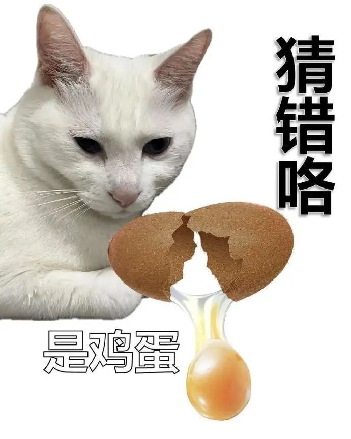 《白猫盯着破开的蛋一脸懵,配文“猜错咯 是鸡蛋”超有趣》 整蛊表情包 | 猜猜这是什么?猜中有奖励表情包图片gif动图 - 求表情网,斗图从此不求人!