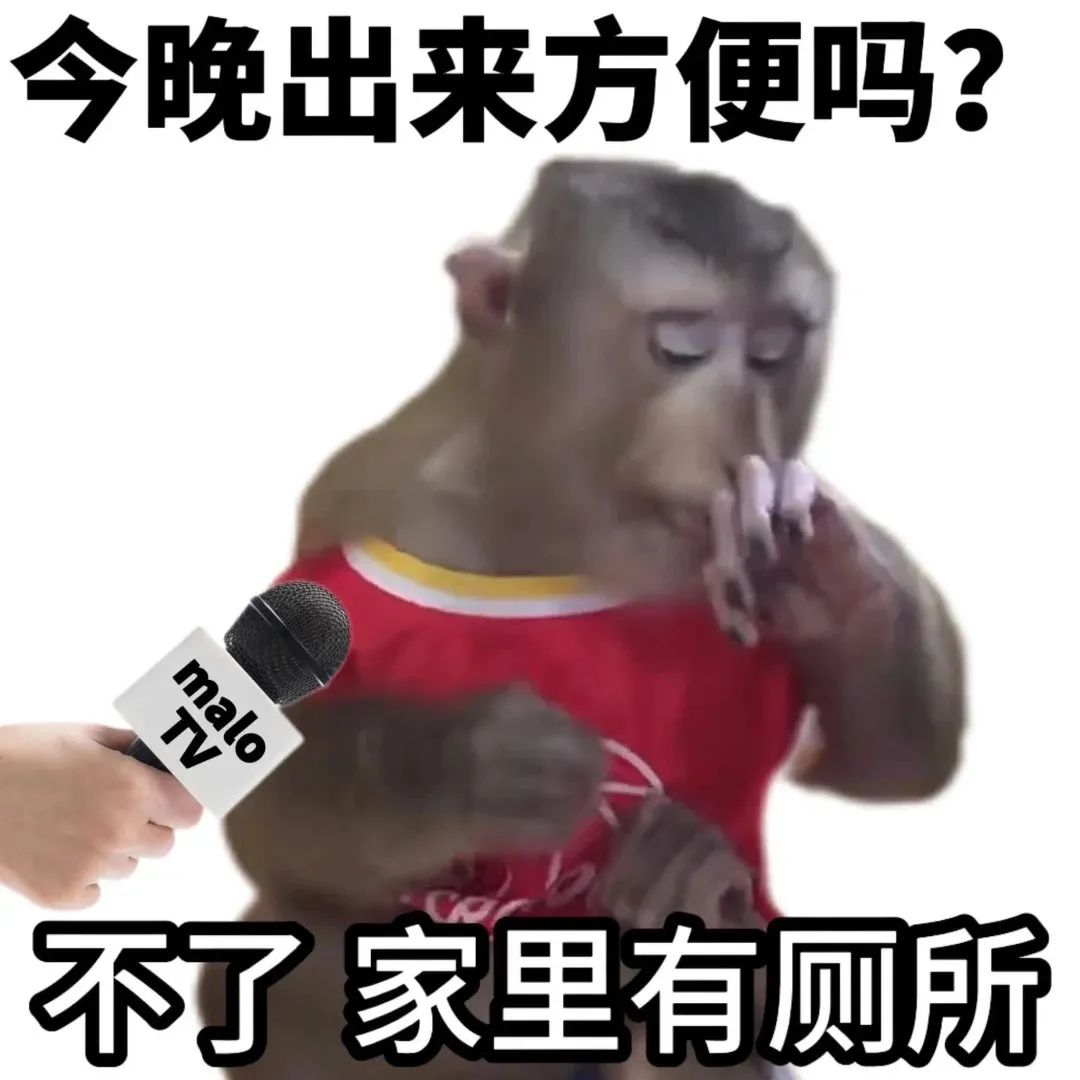 《猴子被采访,面对“今晚出来方便吗”回答“不了家里有厕所”超搞笑》 刷到了一组实用表情包耶。 表情包图片gif动图 - 求表情网,斗图从此不求人!