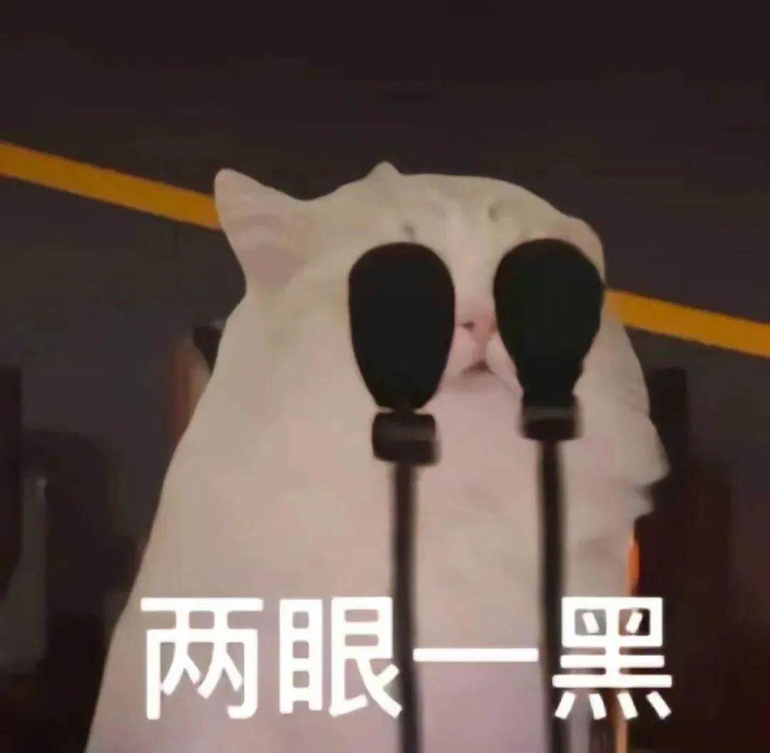 可爱猫咪被麦克风挡住双眼,配文“两眼一黑”的搞笑表情包 表情包丨快说你需要我表情包图片gif动图 - 求表情网,斗图从此不求人!
