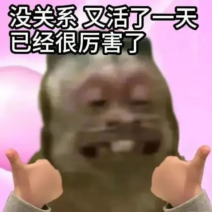 “没关系又活了一天,已经很厉害了”的可爱励志猫咪表情包 存一些抽象表情包(27张)表情包图片gif动图 - 求表情网,斗图从此不求人!