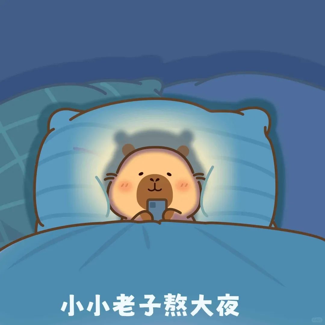可爱萌宠深夜不睡在床上熬夜玩手机的可爱模样 表情包集合:喆不对吧表情包图片gif动图 - 求表情网,斗图从此不求人!