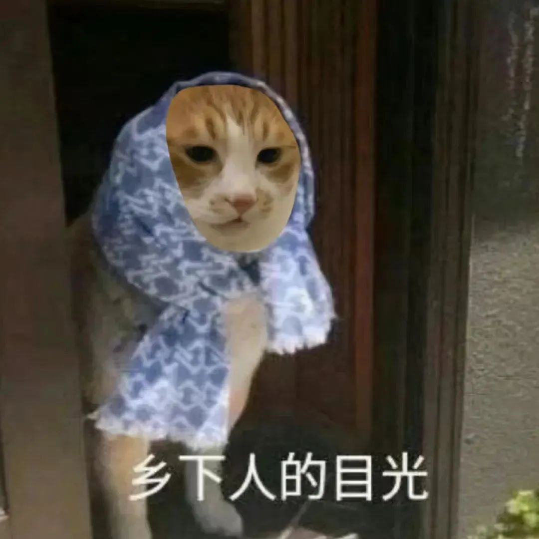 戴着蓝巾的猫咪露出“乡下人的目光”,表情滑稽有趣 表情包|正能量啊家银们表情包图片gif动图 - 求表情网,斗图从此不求人!