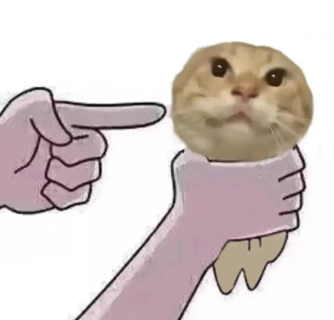 可爱猫咪被手指着,一脸懵圈的样子太萌啦 耄耋圆头蜘蛛猫长串爬行表情包大全!批量保存!表情包图片gif动图 - 求表情网,斗图从此不求人!