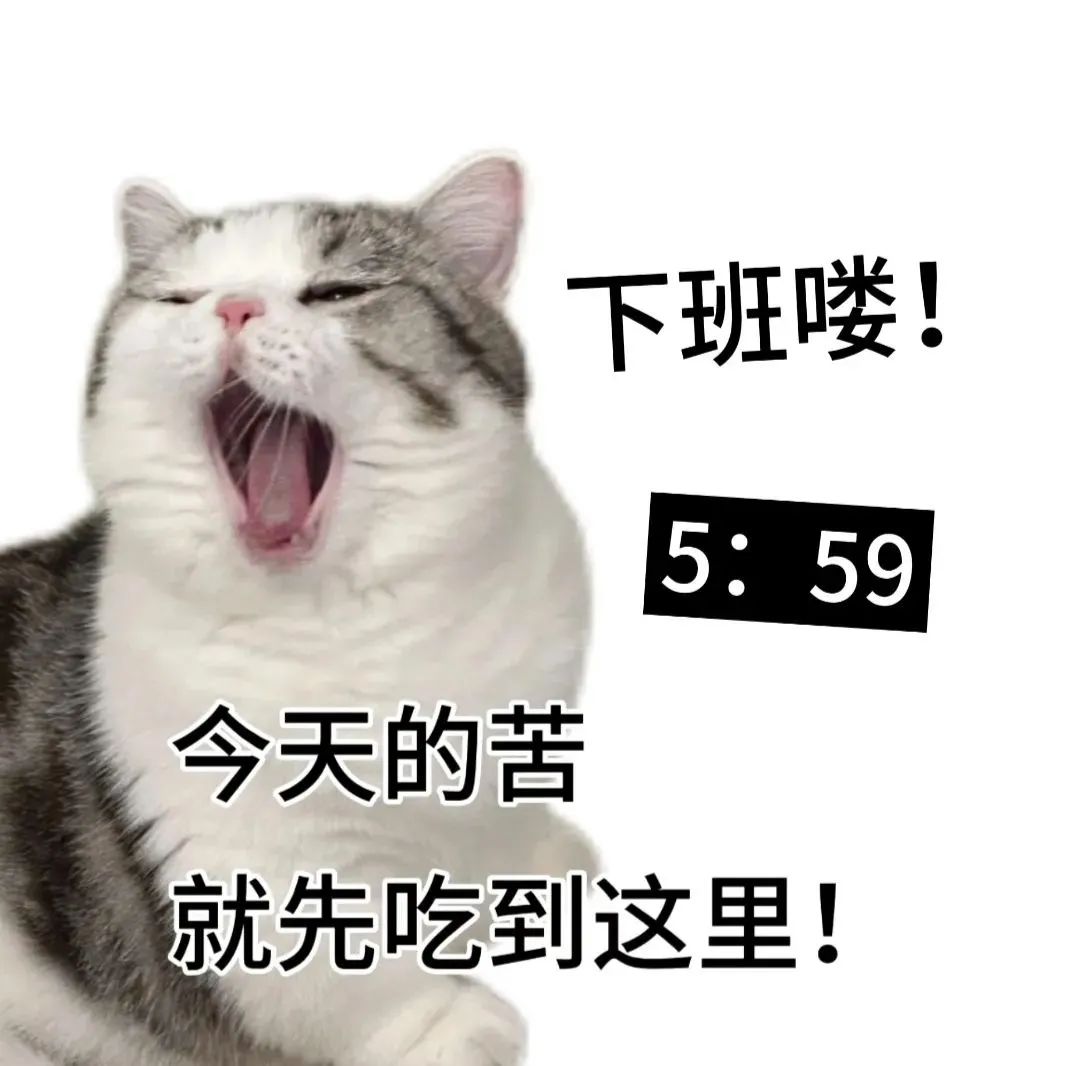 《5:59下班啦！猫咪打哈欠表示今天的苦就先吃到这里的表情包》 200个抽象聊天表情包表情包图片gif动图 - 求表情网,斗图从此不求人!