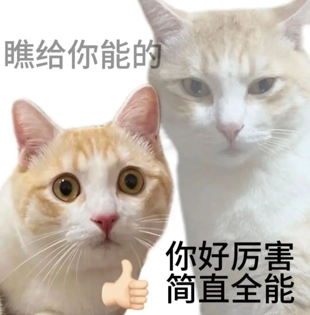 《瞧给你能的,猫咪表情+文字,“你好厉害简直全能”超有趣》 200个抽象聊天表情包表情包图片gif动图 - 求表情网,斗图从此不求人!