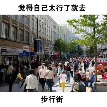 《觉得自己太行了就去步行街》,展现热闹街景的有趣表情包 表情包:就给大家指条明路表情包图片gif动图 - 求表情网,斗图从此不求人!
