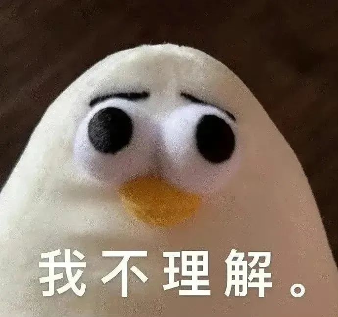 可爱玩偶一脸懵态配文“我不理解”,尽显无奈与困惑 表情包已刷新,快来领取!表情包图片gif动图 - 求表情网,斗图从此不求人!