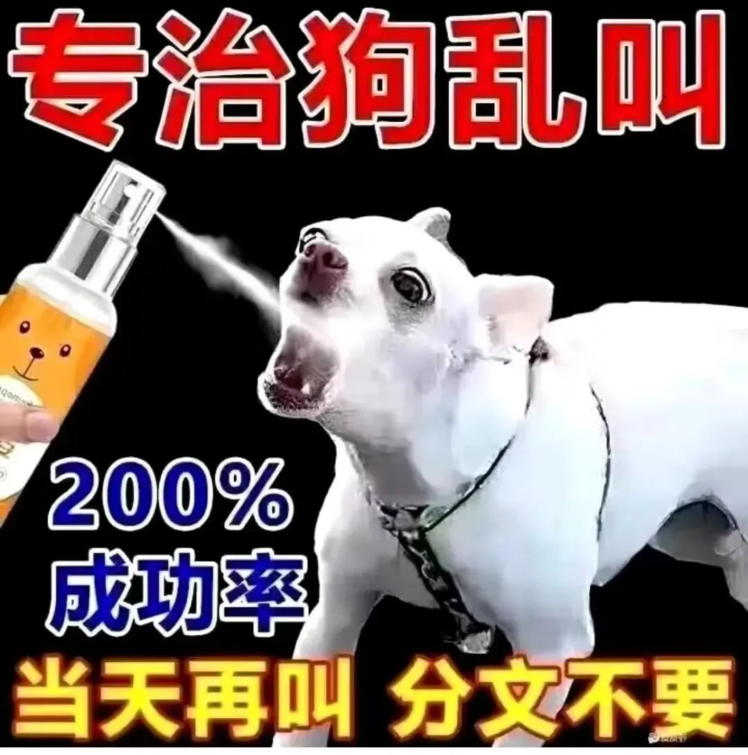 《专治狗狗乱叫,200%成功率,当天再叫分文不要》 沙雕表情包表情包图片gif动图 - 求表情网,斗图从此不求人!