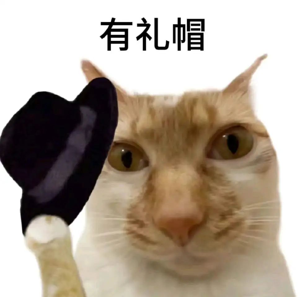 猫咪手持黑色礼帽，表情呆萌，配文“有礼帽”的可爱表情包 抽象到没边的表情包表情包图片gif动图 - 求表情网,斗图从此不求人!