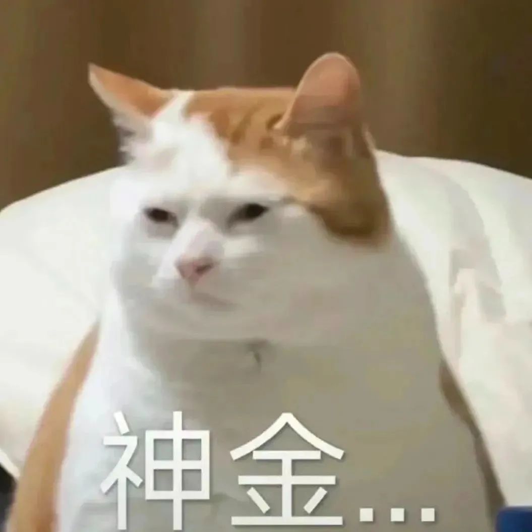 胖脸猫咪表情严肃,下方配文“神金...”,尽显呆萌可爱 表情包斗图精选表情包图片gif动图 - 求表情网,斗图从此不求人!