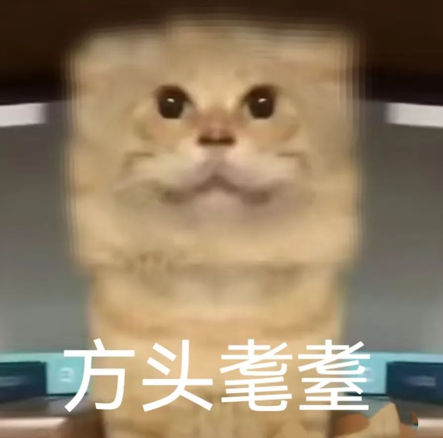 《方头猫猫》可爱猫咪表情模糊,呆萌模样令人忍俊不禁 可爱猫meme耄耋猫表情包大合集表情包图片gif动图 - 求表情网,斗图从此不求人!