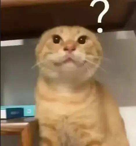 可爱橘猫一脸疑惑,头顶问号尽显呆萌 可爱猫meme耄耋猫表情包大合集表情包图片gif动图 - 求表情网,斗图从此不求人!