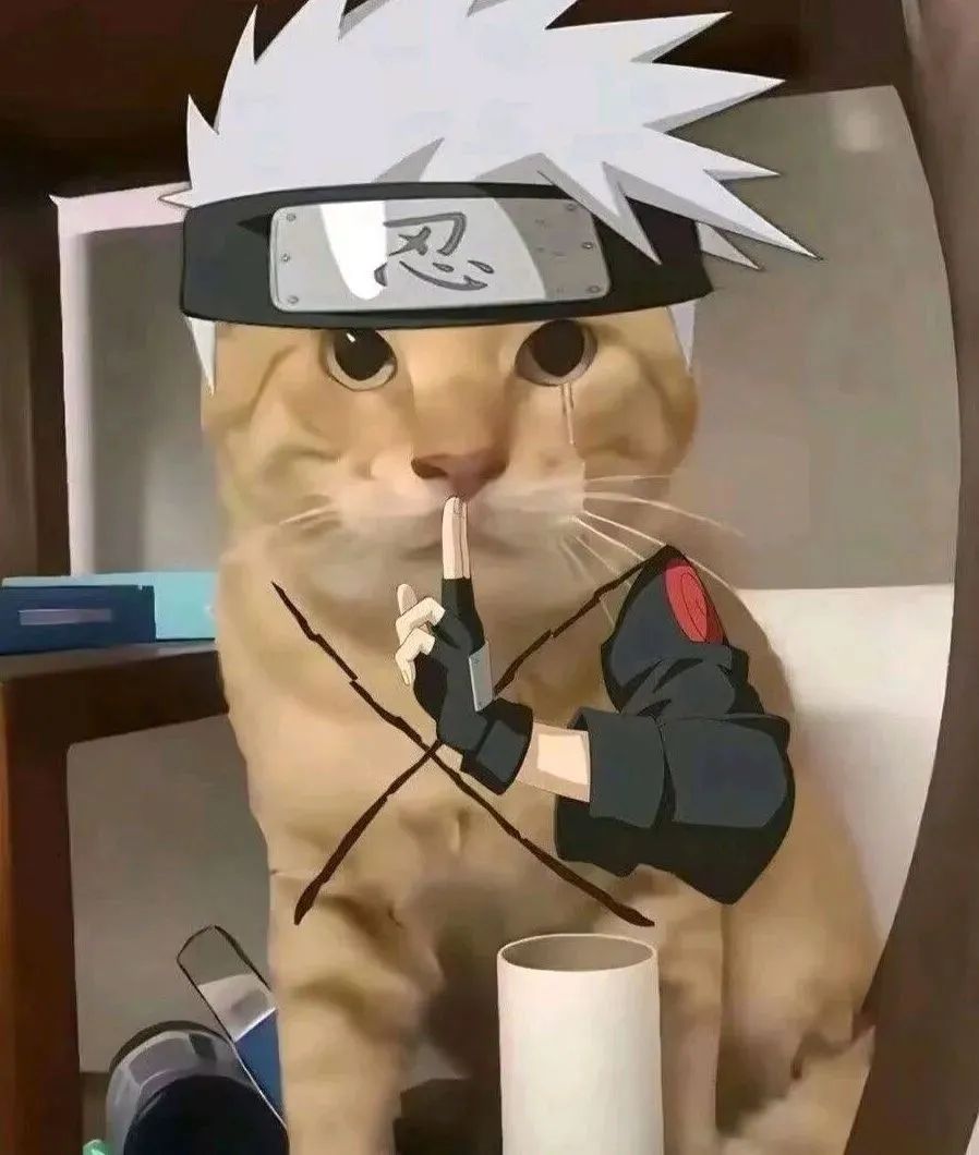 可爱猫meme耄耋猫表情包大合集相关表情包,表情包专辑 - 求表情网,斗图从此不求人!