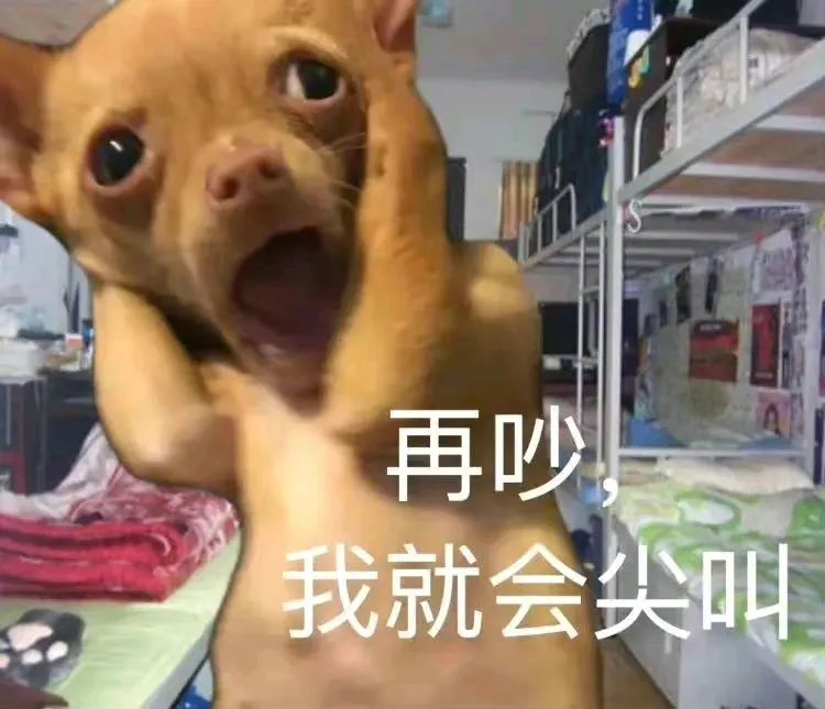 可爱小狗在宿舍场景中张牙舞爪,配文“再吵,我就会尖叫” 表情包:这很不OK表情包图片gif动图 - 求表情网,斗图从此不求人!