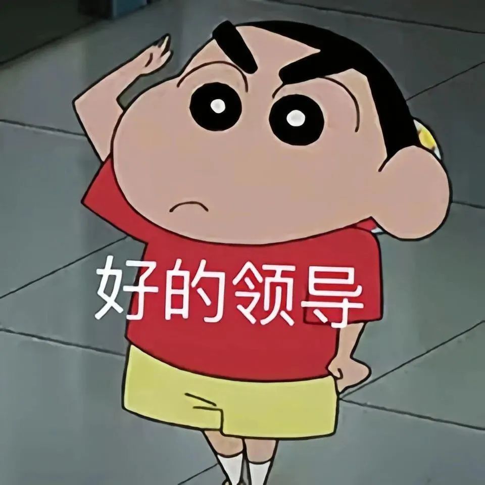 小新敬礼表情，配上“好的领导”文字，乖巧又带点无奈的感觉 不要错过的聊天表情包表情包图片gif动图 - 求表情网,斗图从此不求人!
