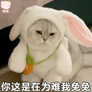 可爱猫咪戴兔耳装,一脸无奈配文“你这是在为难我兔兔” ๑表情包太可爱所以被抓起来惹表情包图片gif动图 - 求表情网,斗图从此不求人!