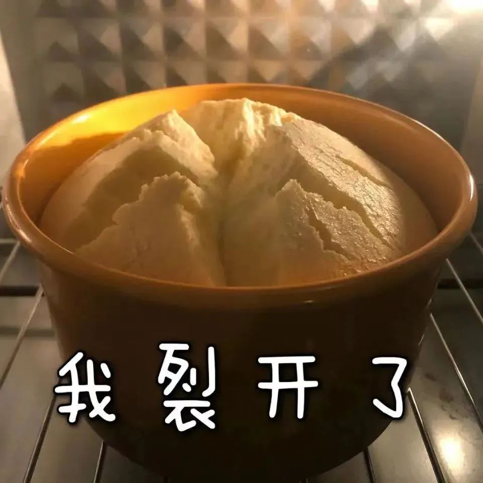 碗中食物裂开的搞笑图,配文“我裂开了”,趣味十足 这组表情包 i了!表情包图片gif动图 - 求表情网,斗图从此不求人!