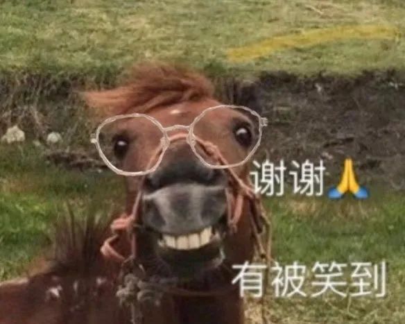 戴眼镜的马咧嘴笑,配文“谢谢 有被笑到”,表情滑稽可爱 这组表情包 i了!表情包图片gif动图 - 求表情网,斗图从此不求人!