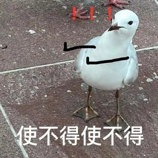 海鸥一脸无奈,配文“使不得使不得”,尽显拒绝之意 这组表情包 i了!表情包图片gif动图 - 求表情网,斗图从此不求人!