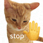 橘猫一脸严肃,旁边配有“stop”字样和手势,超萌超可爱 高频使用小表情包50张表情包图片gif动图 - 求表情网,斗图从此不求人!