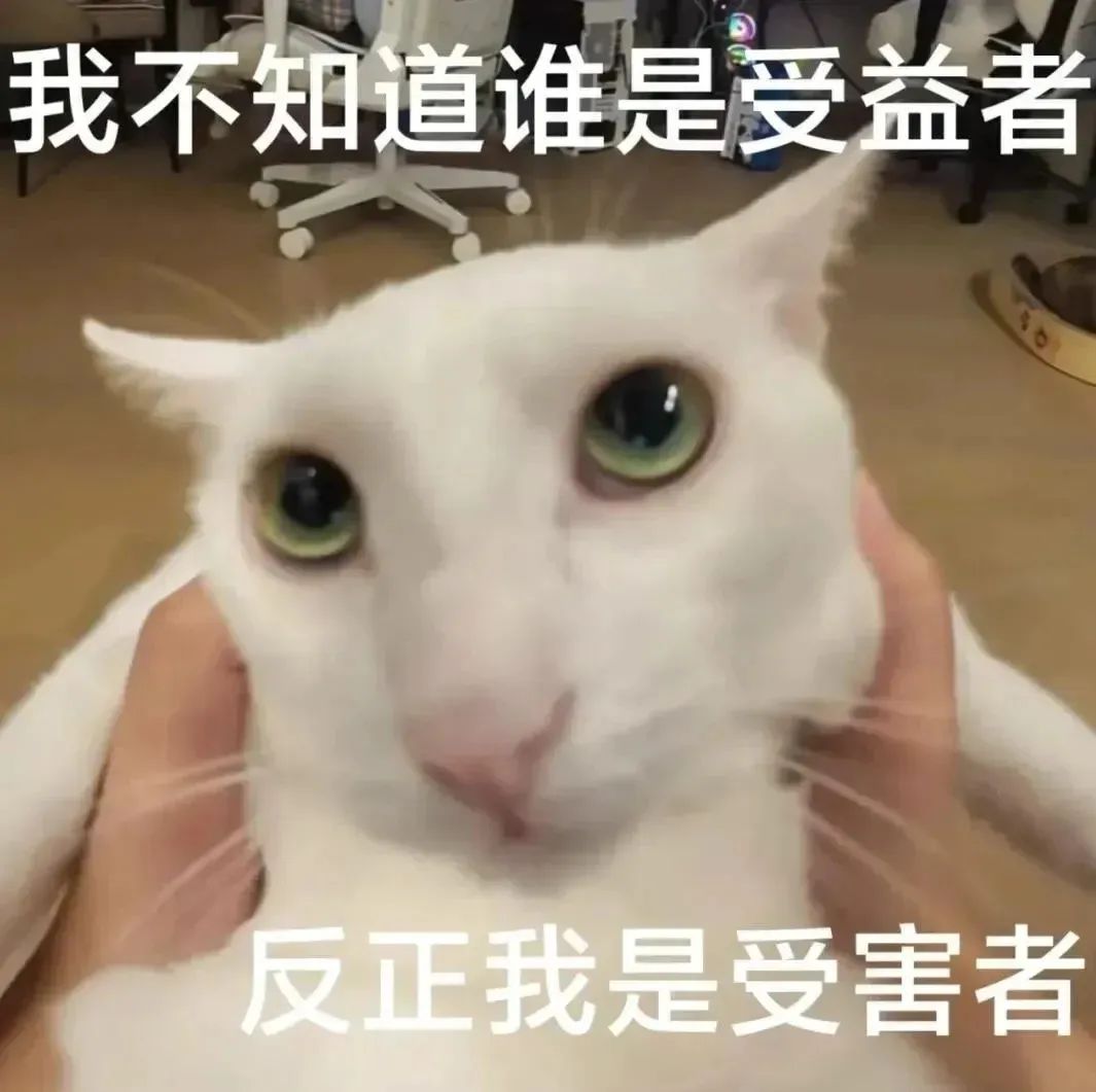 《无辜猫咪表情包:我不知谁是受益者,反正我是受害者》 表情包:go go go 出发喽表情包图片gif动图 - 求表情网,斗图从此不求人!