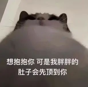 想抱抱你，可是我胖胖的肚子会先顶到你表情包图片 - 求表情网,斗图从此不求人!