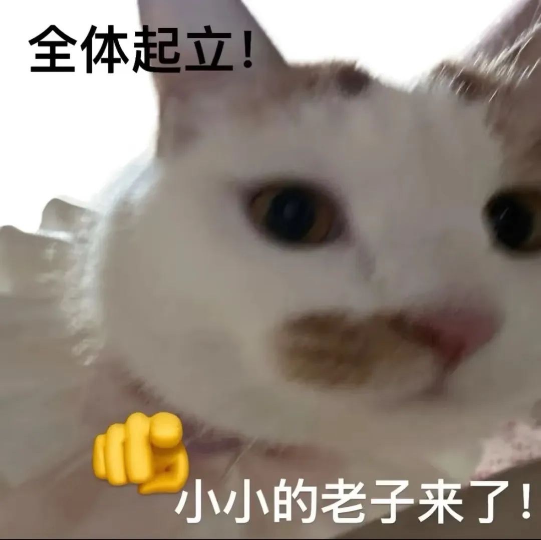 表情包:go go go 出发喽相关表情包,表情包专辑 - 求表情网,斗图从此不求人!