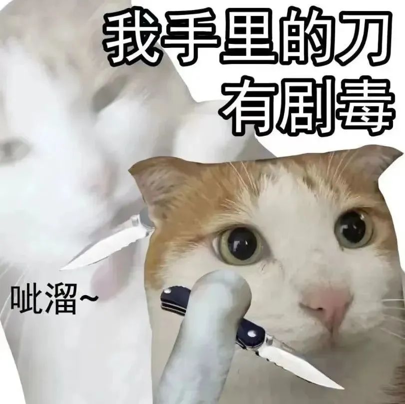 《我手里的刀有剧毒》,猫咪手持小刀表情凶狠,趣味又带感 表情包|对不起帅到你了表情包图片gif动图 - 求表情网,斗图从此不求人!