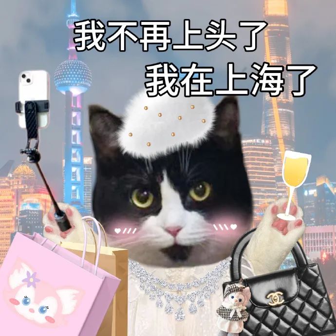 《我不再上头了我在上海了》猫咪手持香槟和包包的可爱表情包 Kelly's 家属表情包表情包图片gif动图 - 求表情网,斗图从此不求人!