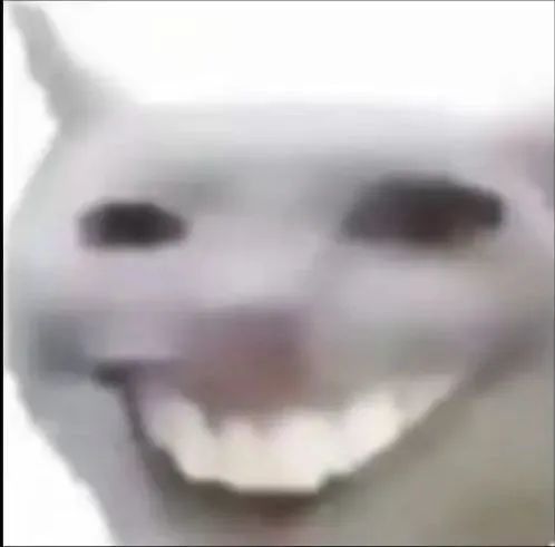 超魔性的猫咪大笑表情包,这笑容简直太有感染力啦 玩抽象表情包 丨 我真的没时间陪你闹了表情包图片gif动图 - 求表情网,斗图从此不求人!