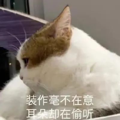 那很生活了