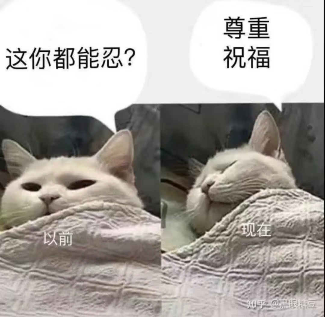 《以前“这你都能忍?”现在“尊重祝福”,猫咪表情太真实》 实用聊天表情包表情包图片gif动图 - 求表情网,斗图从此不求人!