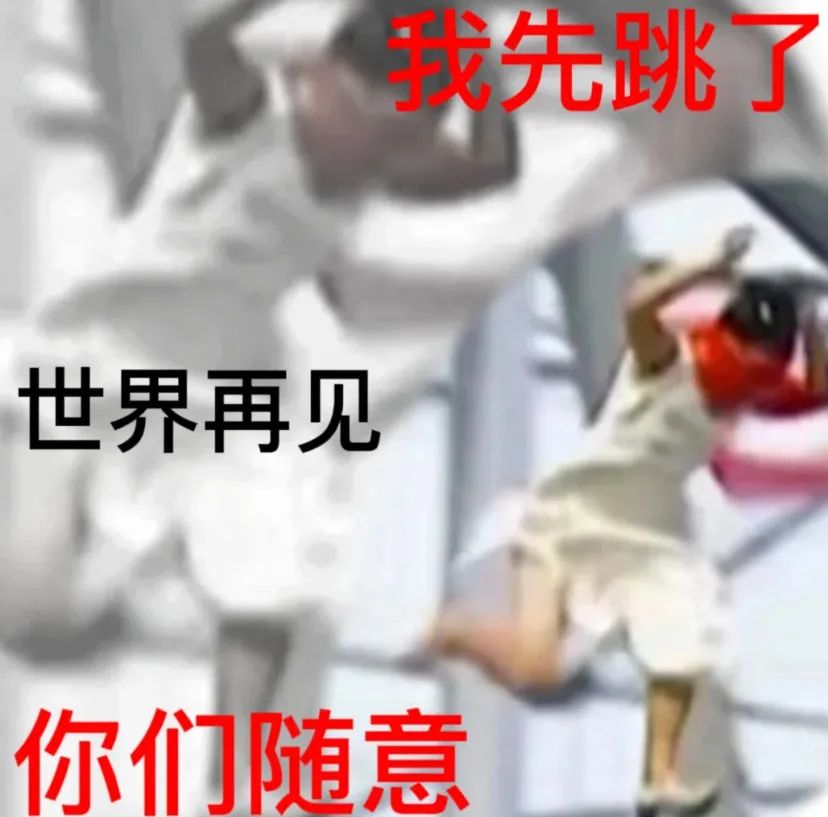 “我先跳了,世界再见,你们随意”的洒脱表情包 实用聊天表情包表情包图片gif动图 - 求表情网,斗图从此不求人!