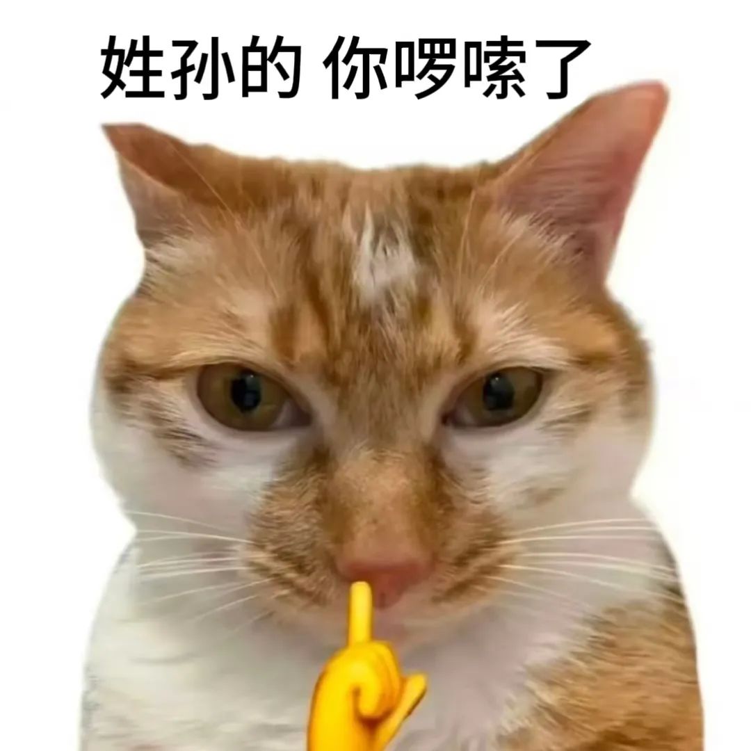 《姓孙的你啰嗦了》——猫咪严肃脸配手指,超有态度的表情包 姓氏表情包150张(姓×的 你啰嗦了)表情包图片gif动图 - 求表情网,斗图从此不求人!