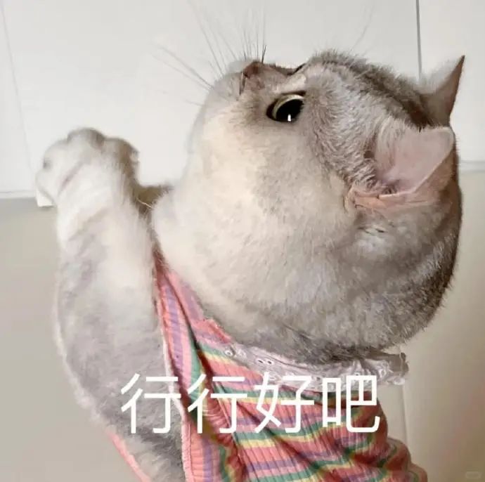 无奈妥协的猫咪,穿着花衣,表情配文“行行好吧”超有趣 我是不会放弃收集抽象小猫表情包的 表情包图片gif动图 - 求表情网,斗图从此不求人!